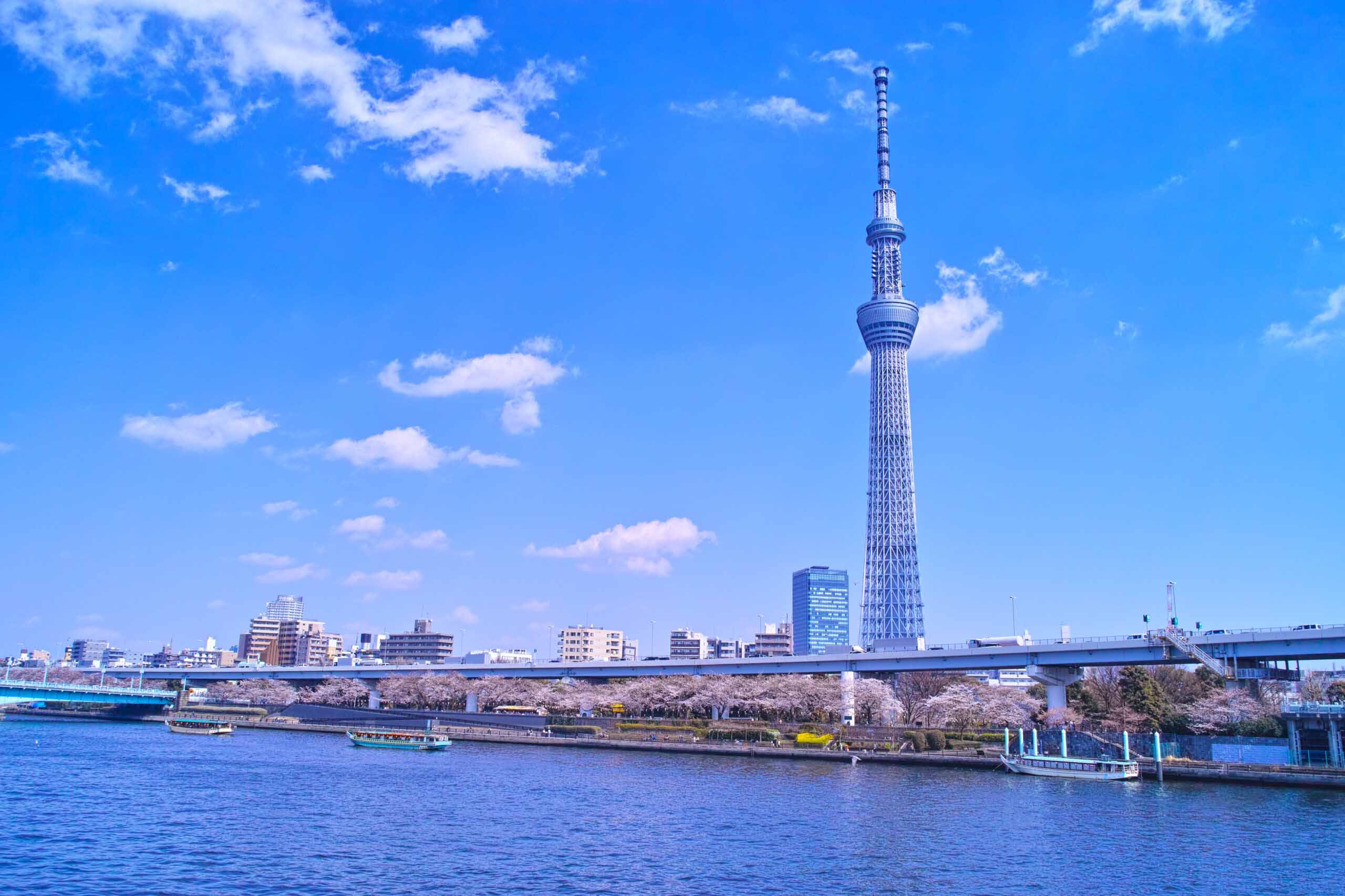 Tokyo Water Front Area And Asakusa Temple