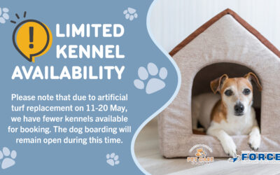 PET CARE CENTER LIMITED KENNEL AVAILABILITY